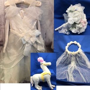 Disney Store Cinderella Deluxe Wedding Costume Complete Set And Plush Toy Horse